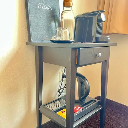 Berghof ホテル ゼーフェルト・イン・チロル