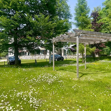 酒店 Berghof 3*