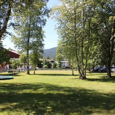 Berghof 3* Зеефельд в Тироле